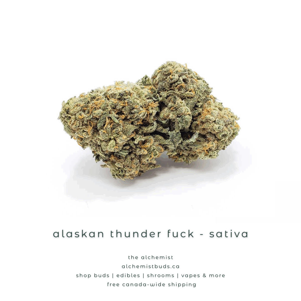 shop alchemistbuds.ca for best price on ATF strain