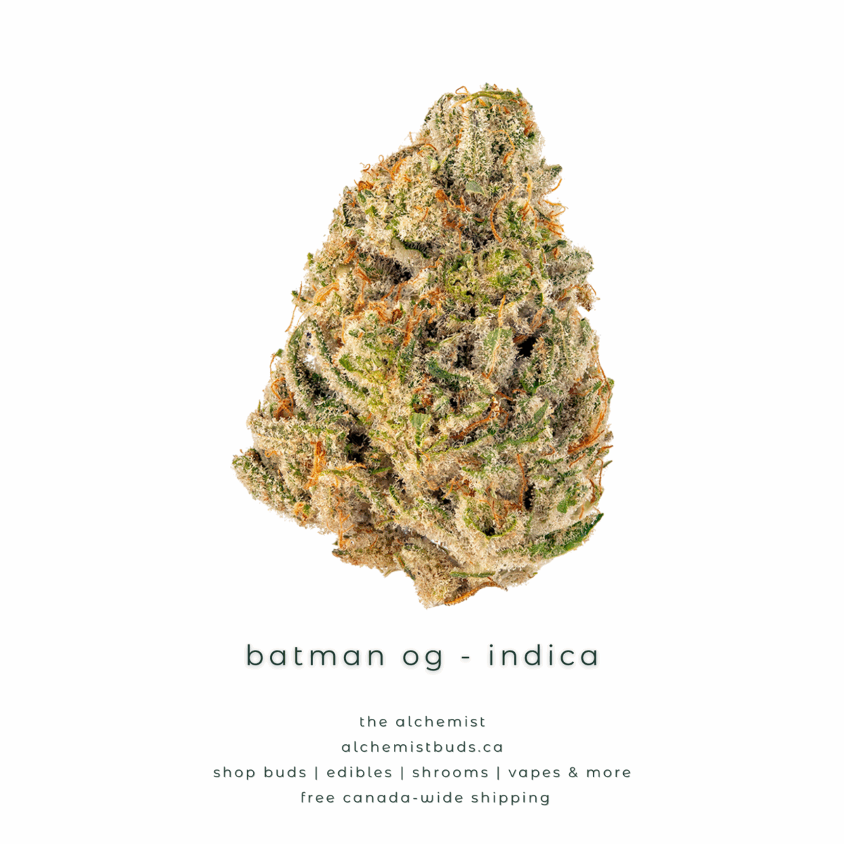 shop alchemistbuds.ca for best price on batman og strain