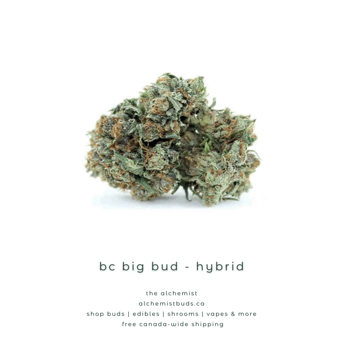 shop alchemistbuds.ca for best price on mystery bag aaaa strains