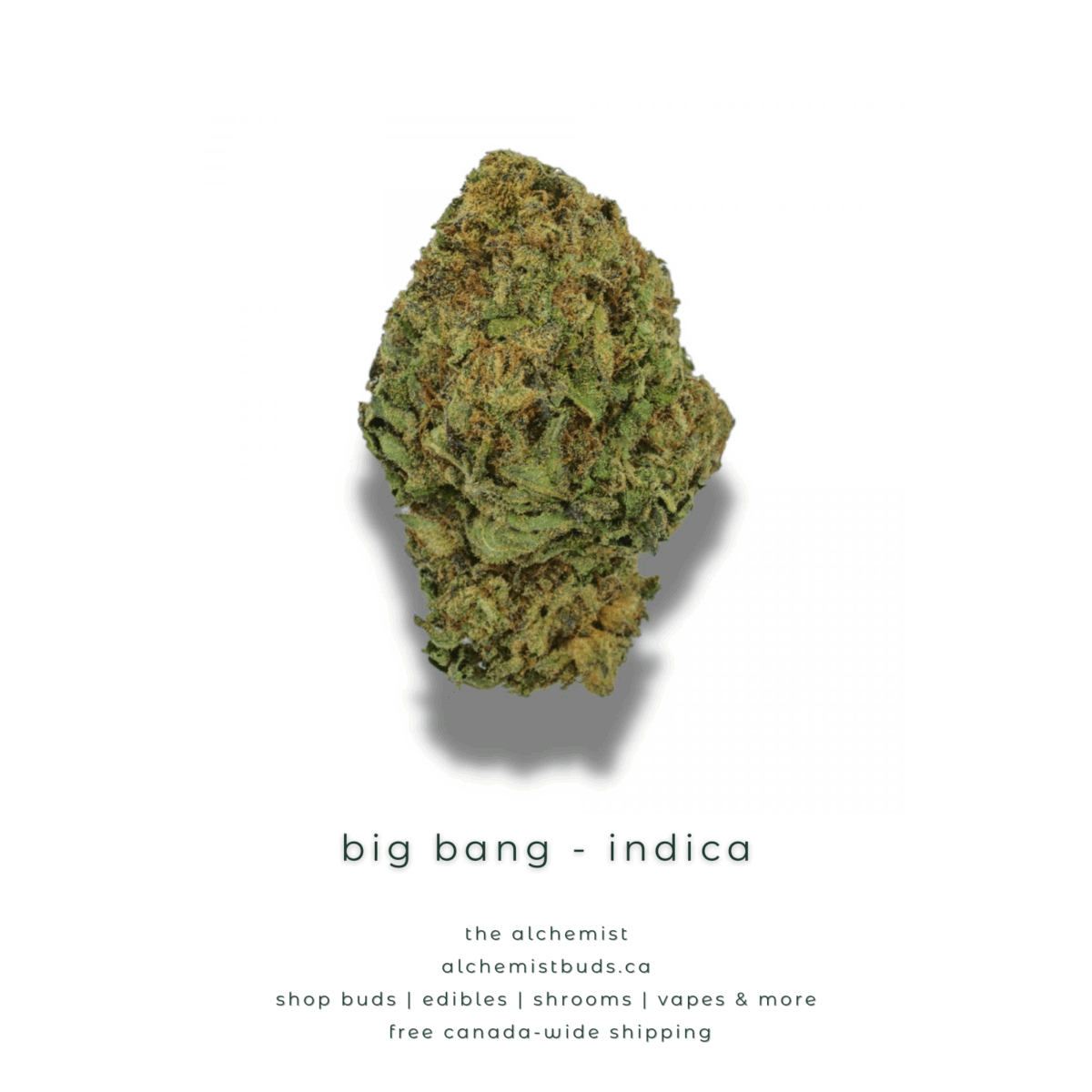 shop alchemistbuds.ca for best price on big bang strain