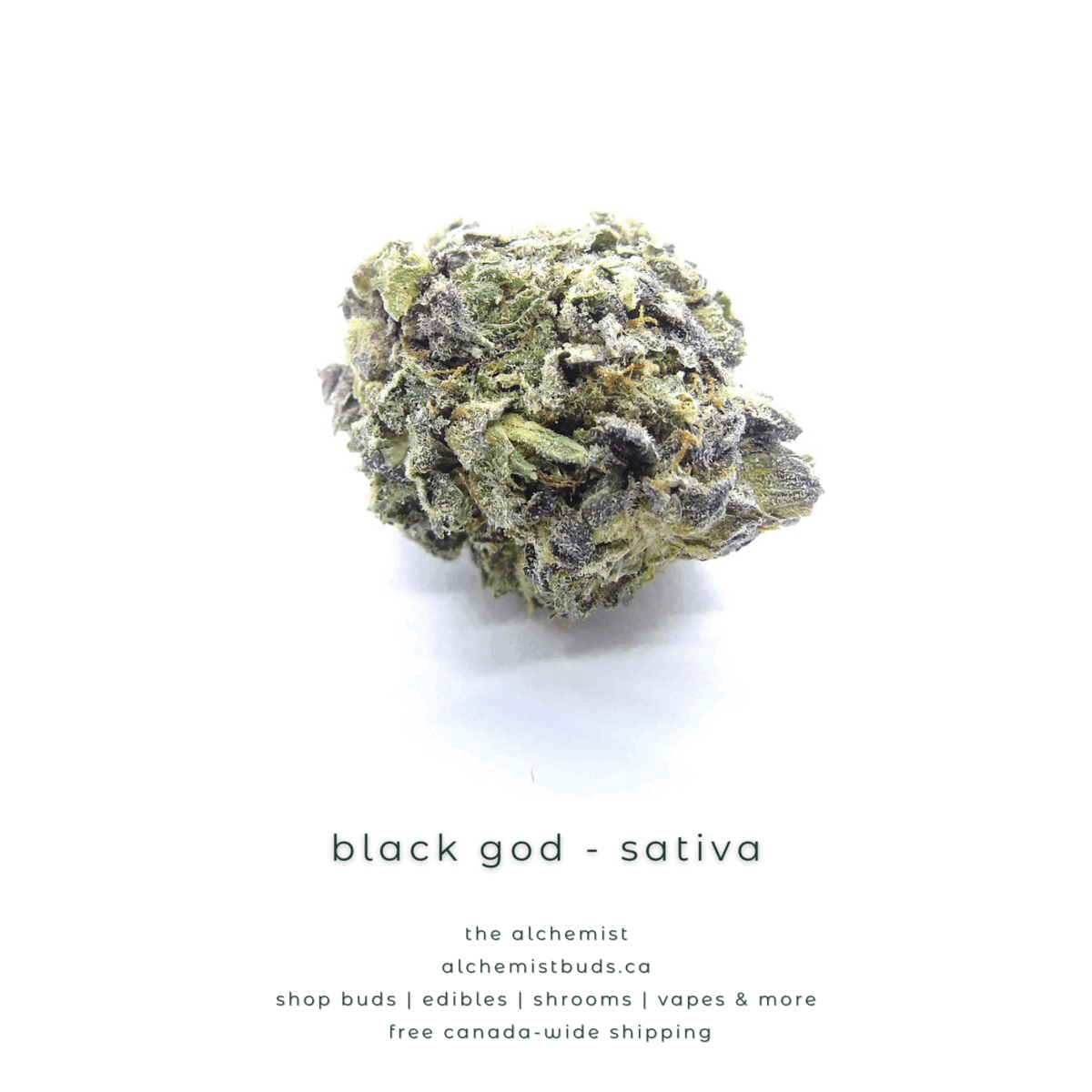 shop alchemistbuds.ca for best price on black god strain