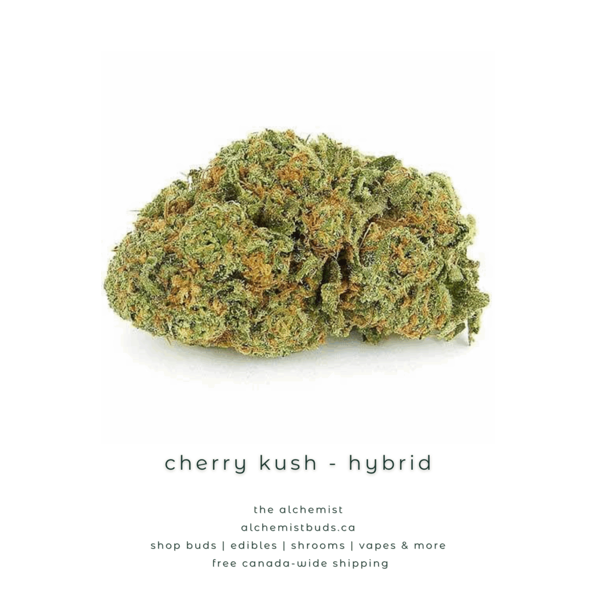 shop alchemistbuds.ca for best price on cherry kush strain