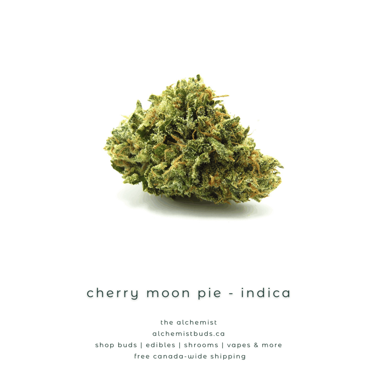 shop alchemistbuds.ca for best price on cherry moon pie strain