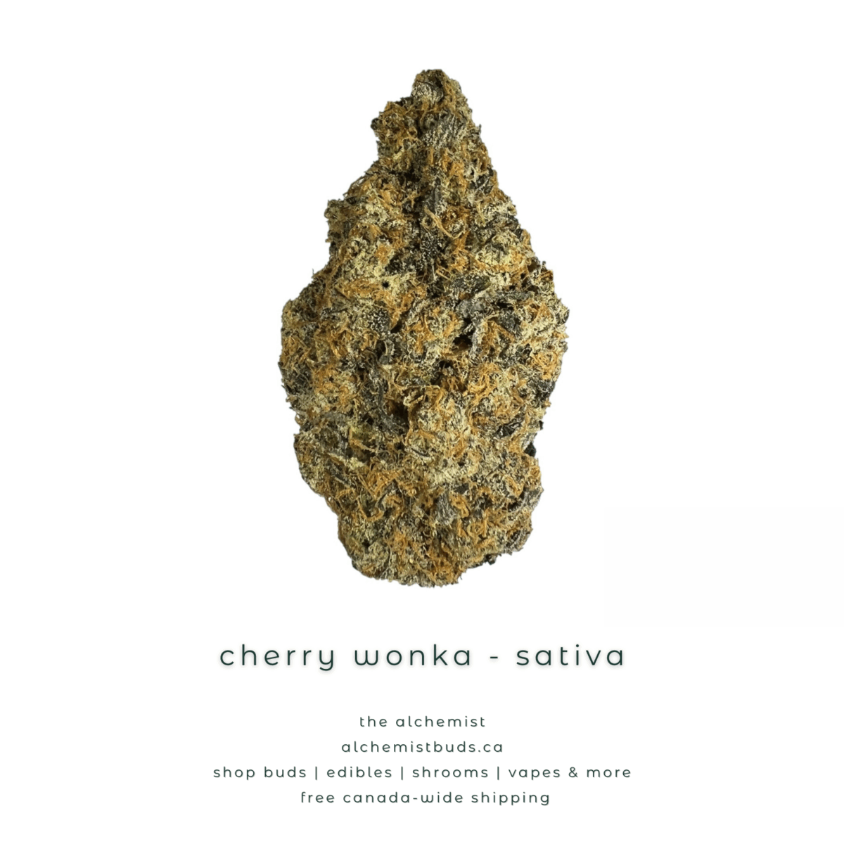 shop alchemistbuds.ca for best price on cherry wonka strain