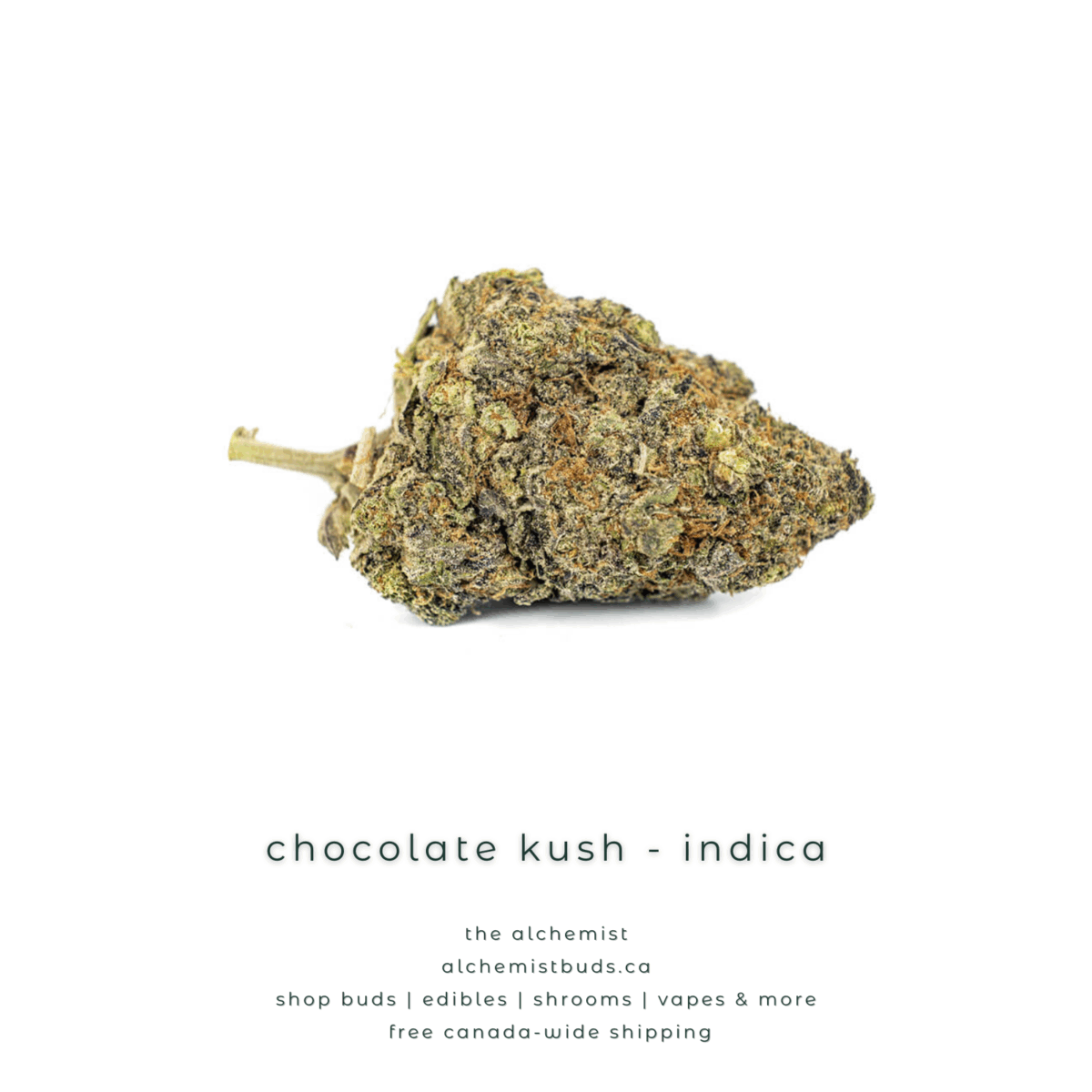 shop alchemistbuds.ca for best price on chocolate kush strain