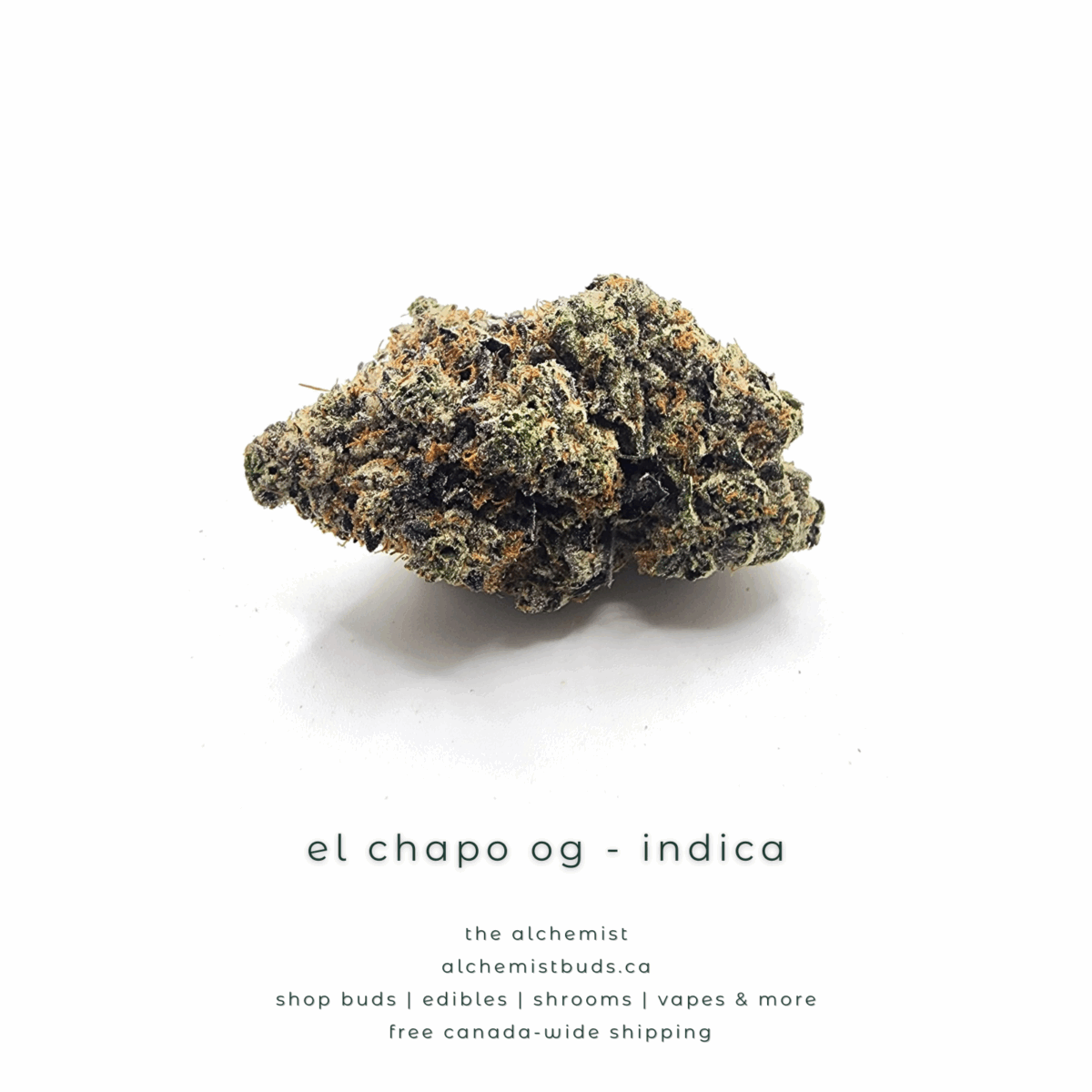 shop alchemistbuds.ca for best price on el chapo strain