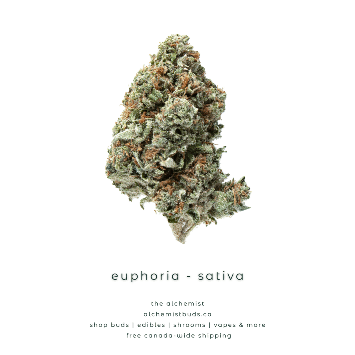 shop alchemistbuds.ca for best price on euphoria strain