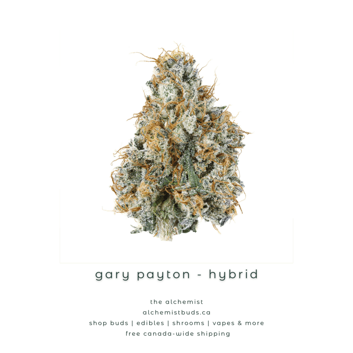 shop alchemistbuds.ca for best price on mystery bag aaaa strains