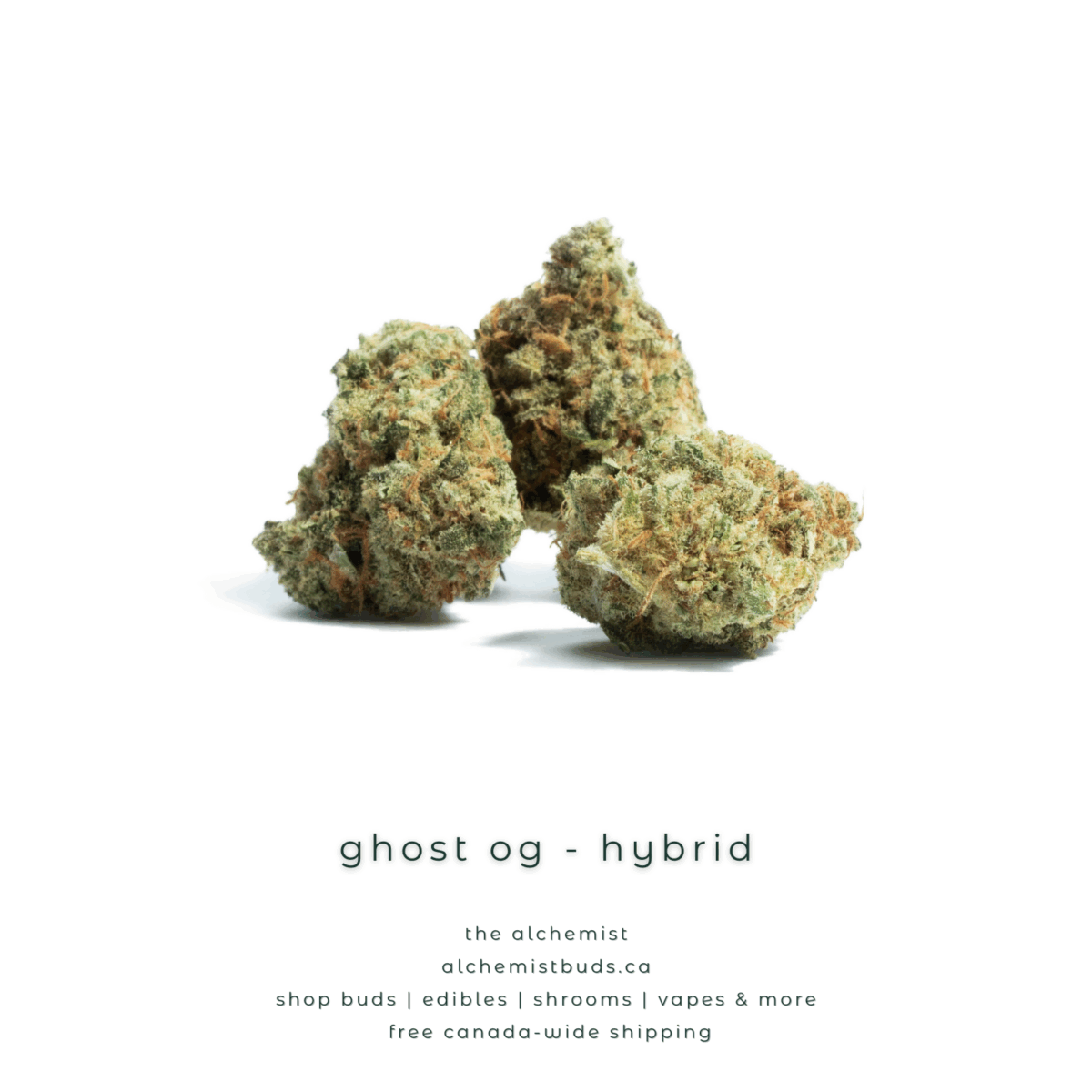shop alchemistbuds.ca for best price on ghost og strain