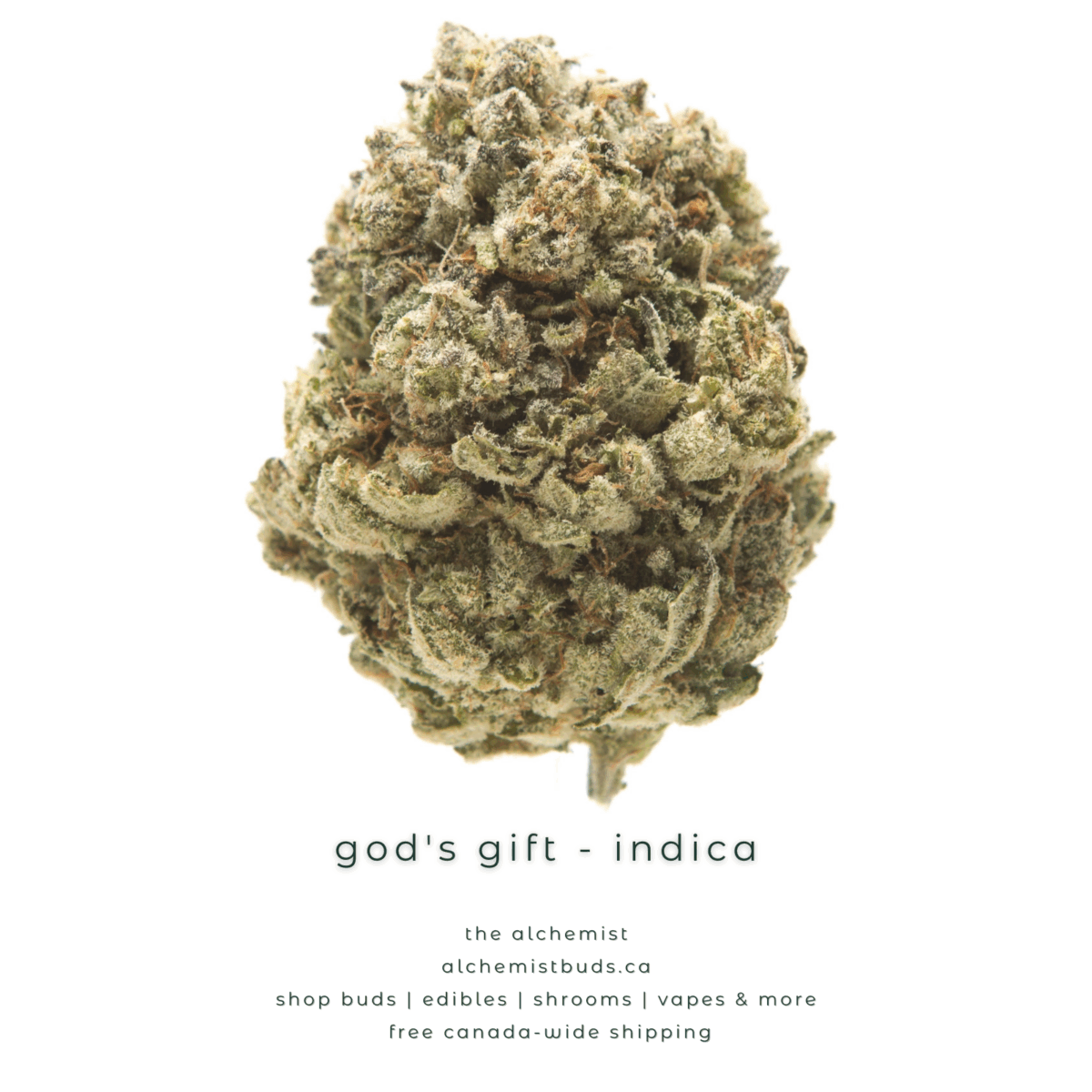 shop alchemistbuds.ca for best price on mystery bag aaaa strains