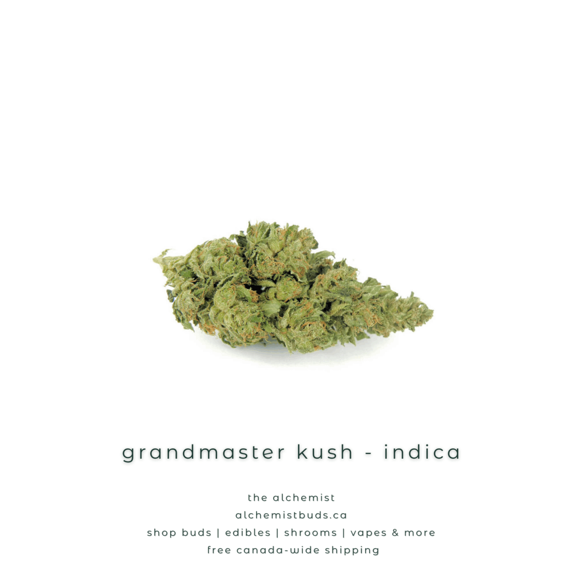 shop alchemistbuds.ca for best price on grandmaster strain