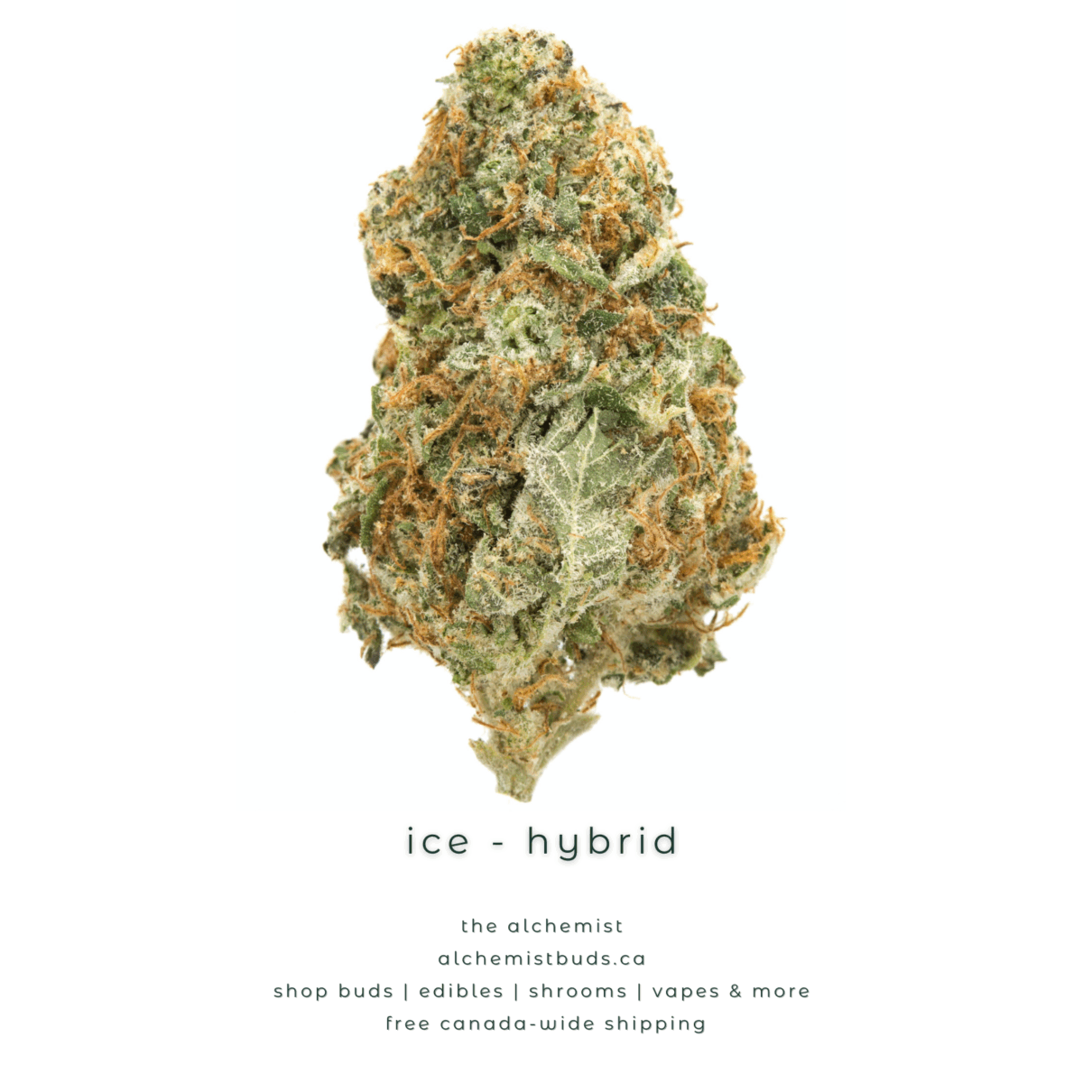 shop alchemistbuds.ca for best price on mystery bag aaaa strains