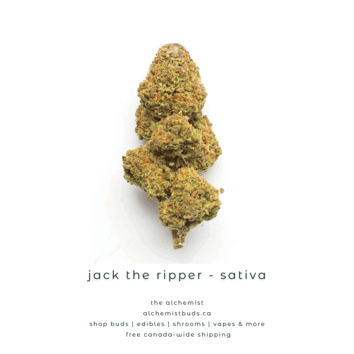shop alchemistbuds.ca for best price on jack the ripper strain
