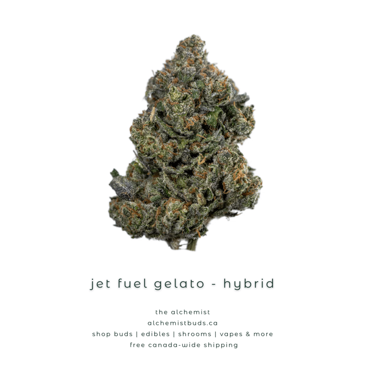 shop alchemistbuds.ca for best price on jet fuel gelato strain