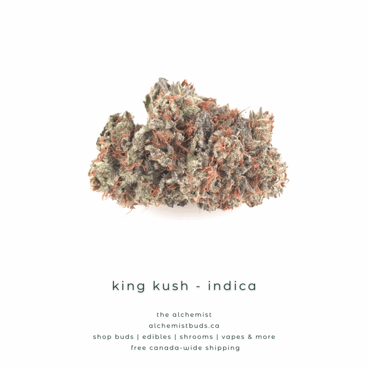 shop alchemistbuds.ca for best price on king kush strain