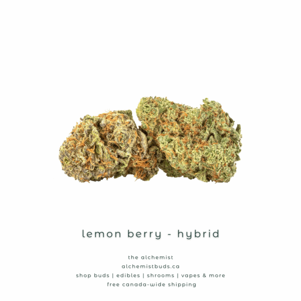 shop alchemistbuds.ca for best price on mystery bag aaaa strains