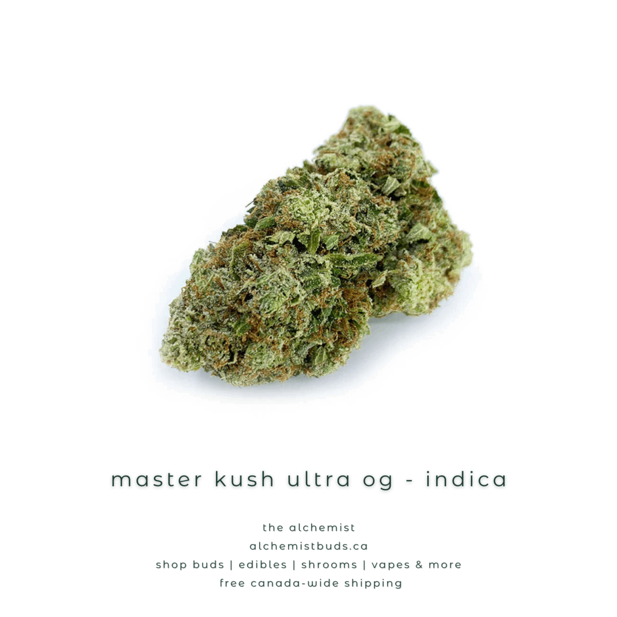 shop alchemistbuds.ca for best price on master kush ultra og  strain