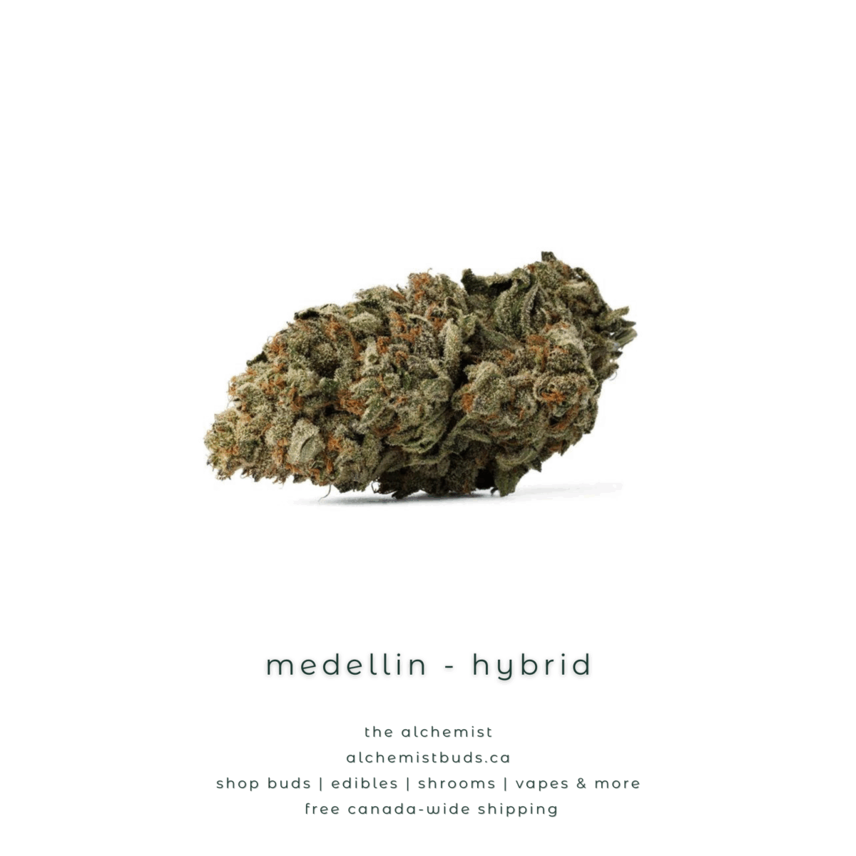 shop alchemistbuds.ca for best price on medellin strain