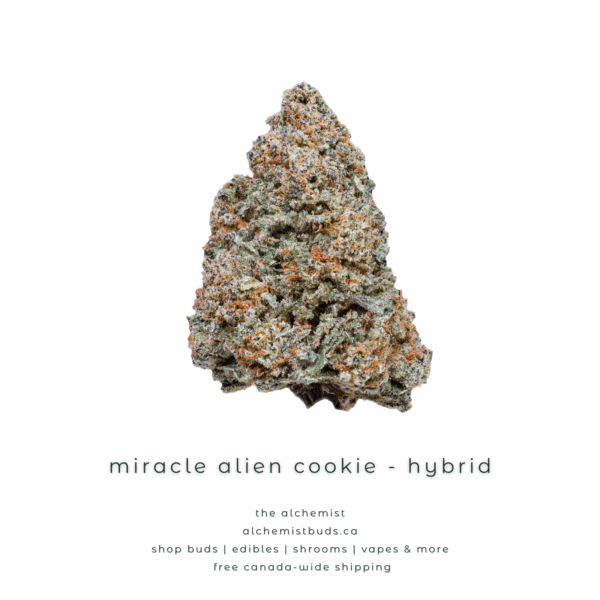AAAA | MIRACLE ALIEN COOKIE - MAC1 - HYBRID