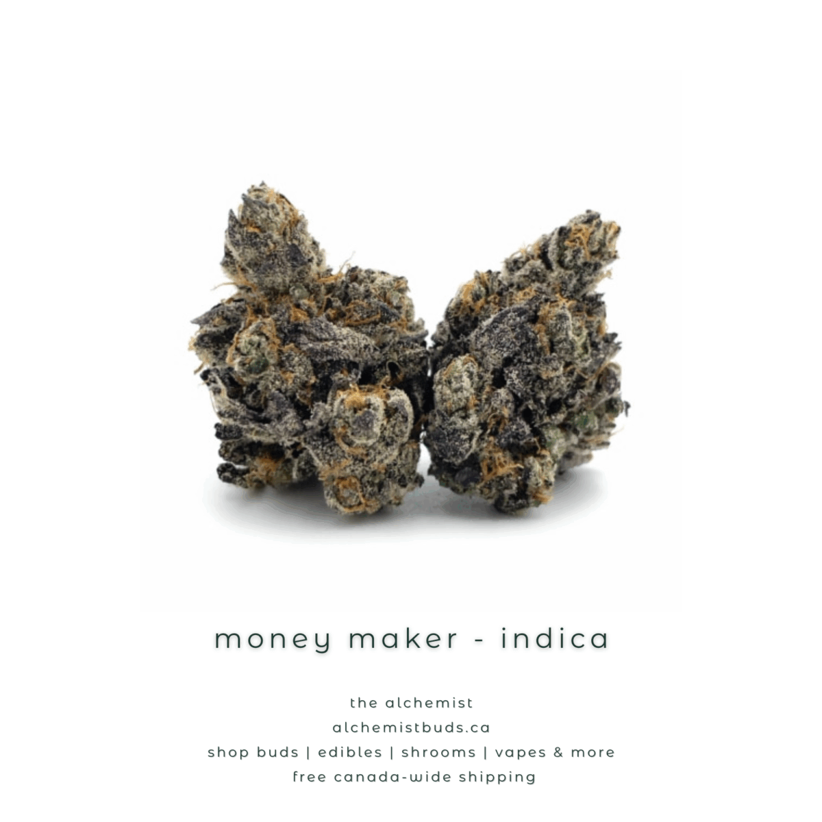 shop alchemistbuds.ca for best price on money maker strain