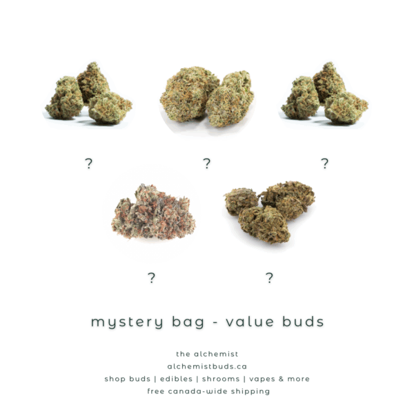 shop alchemistbuds.ca for best price on mystery bag value oz strain