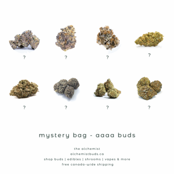 shop alchemistbuds.ca for best price on mystery bag aaaa strains