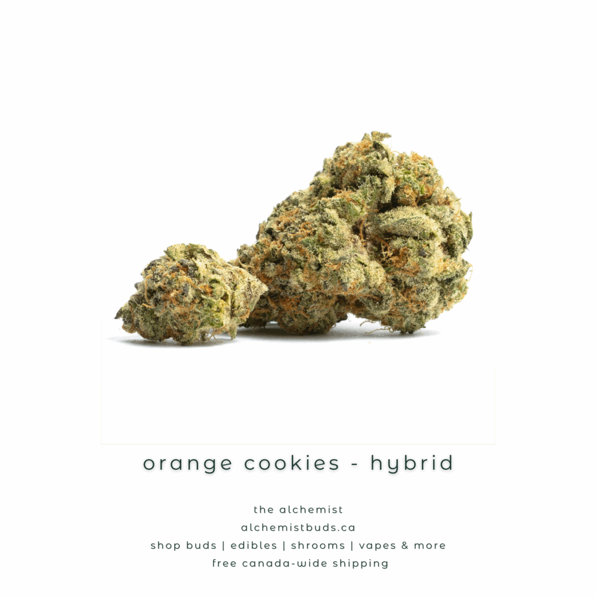 shop alchemistbuds.ca for best price on orange cookies strain