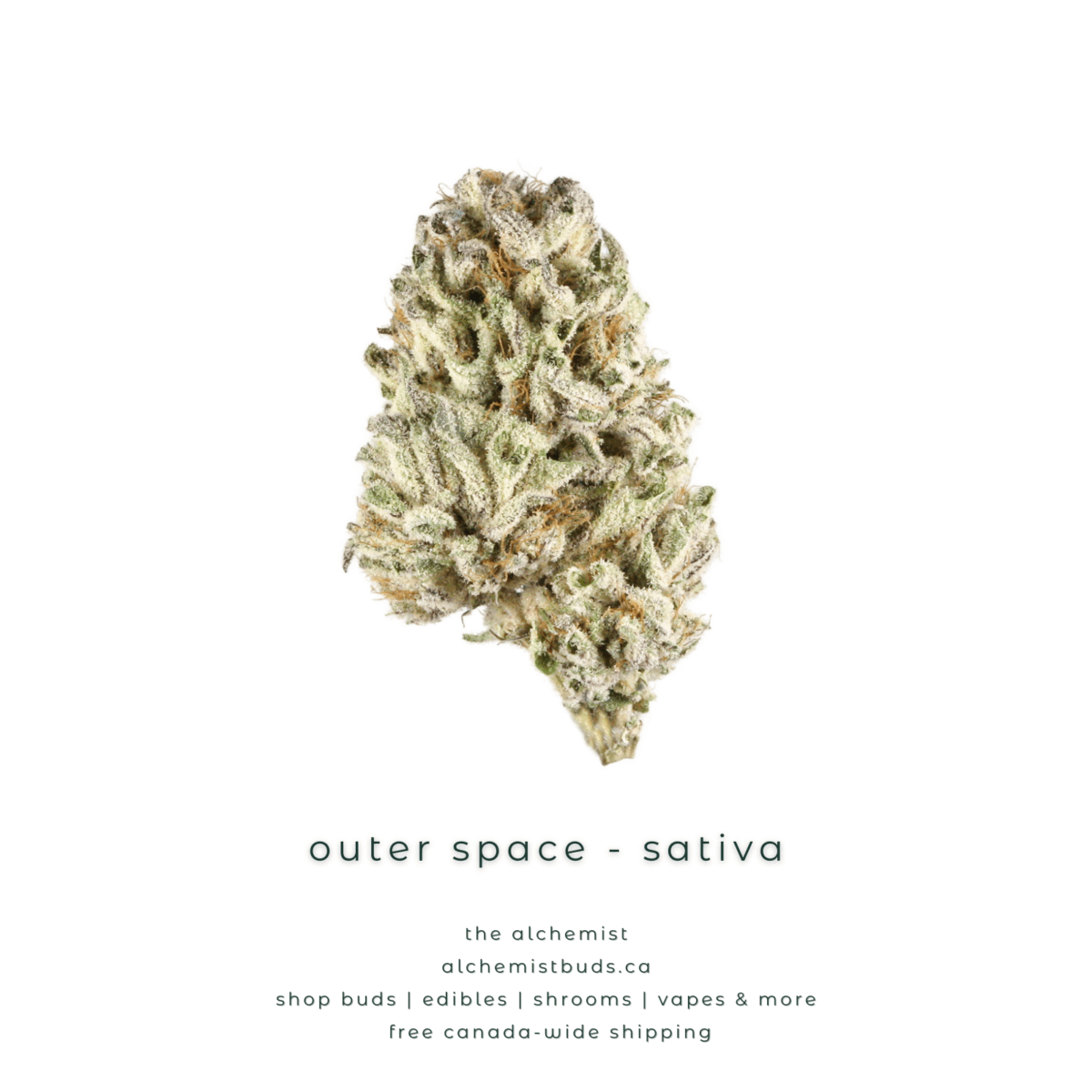 shop alchemistbuds.ca for best price on outer space strain