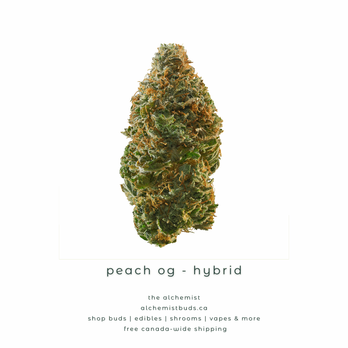shop alchemistbuds.ca for best price on peach og strain