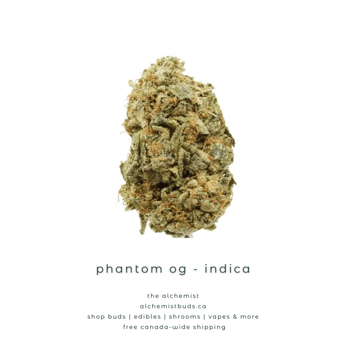 shop alchemistbuds.ca for best price on phantom og strain