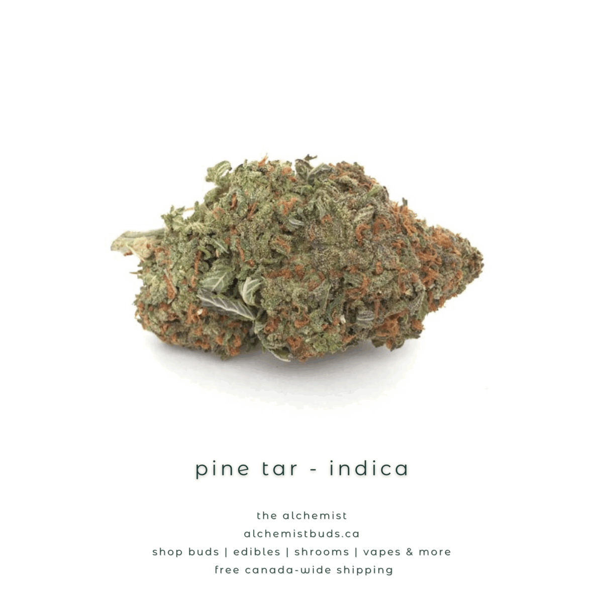 shop alchemistbuds.ca for best price on pine tar strain