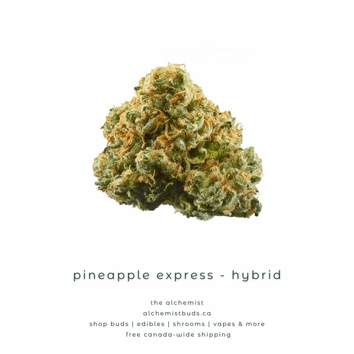 shop alchemistbuds.ca for best price on pineapple express strain