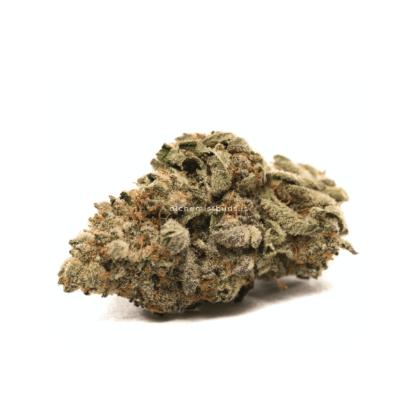AAAA | PINK - HYBRID