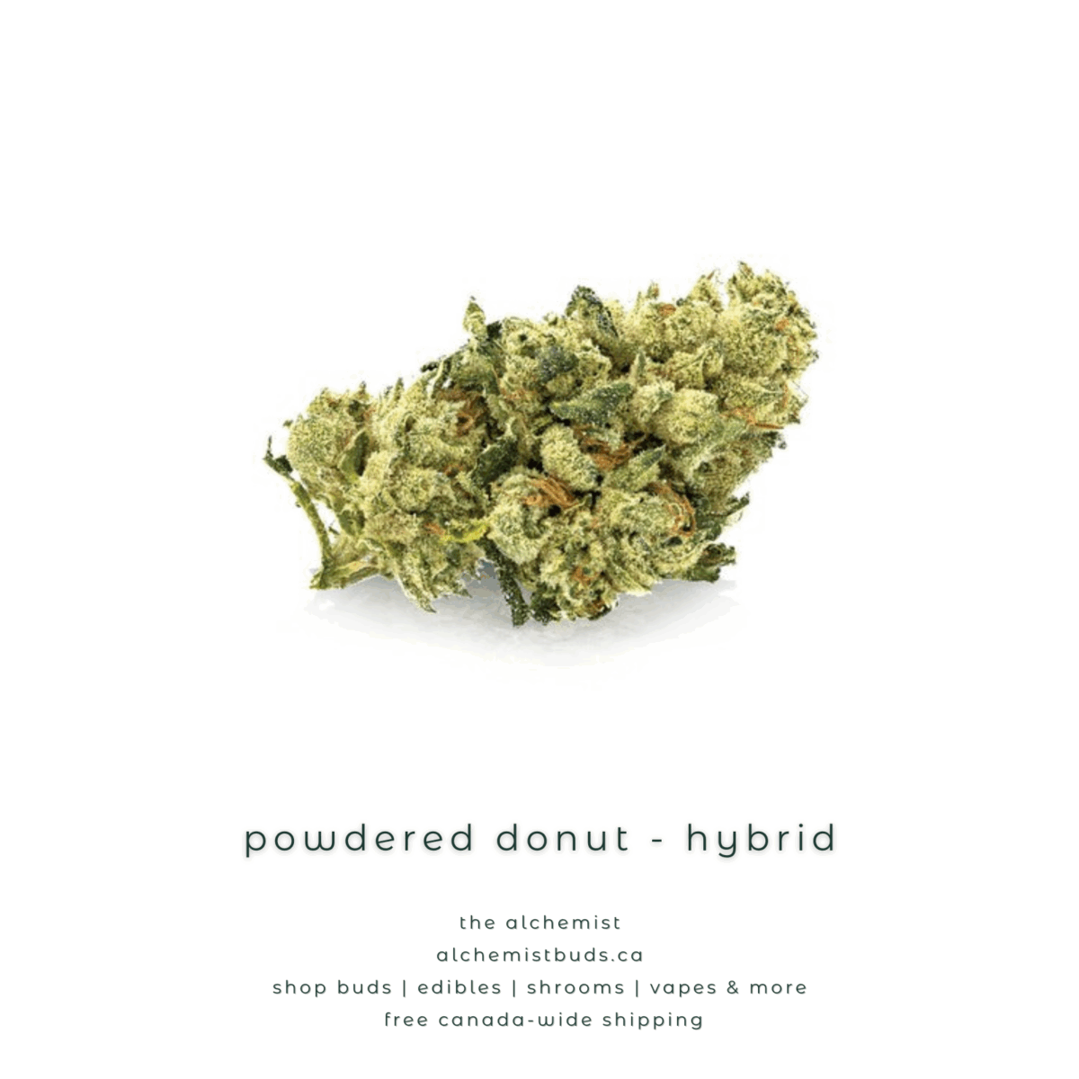 shop alchemistbuds.ca for best price on powdered donut strain