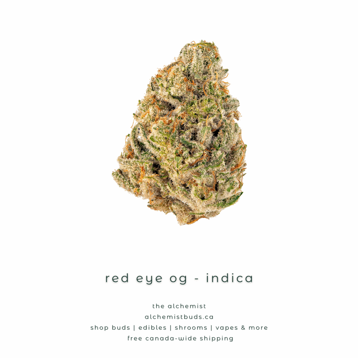 shop alchemistbuds.ca for best price on red eye og strain