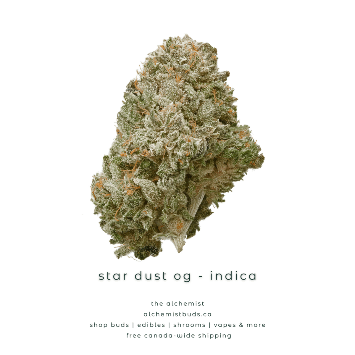 shop alchemistbuds.ca for best price on star dust og strain
