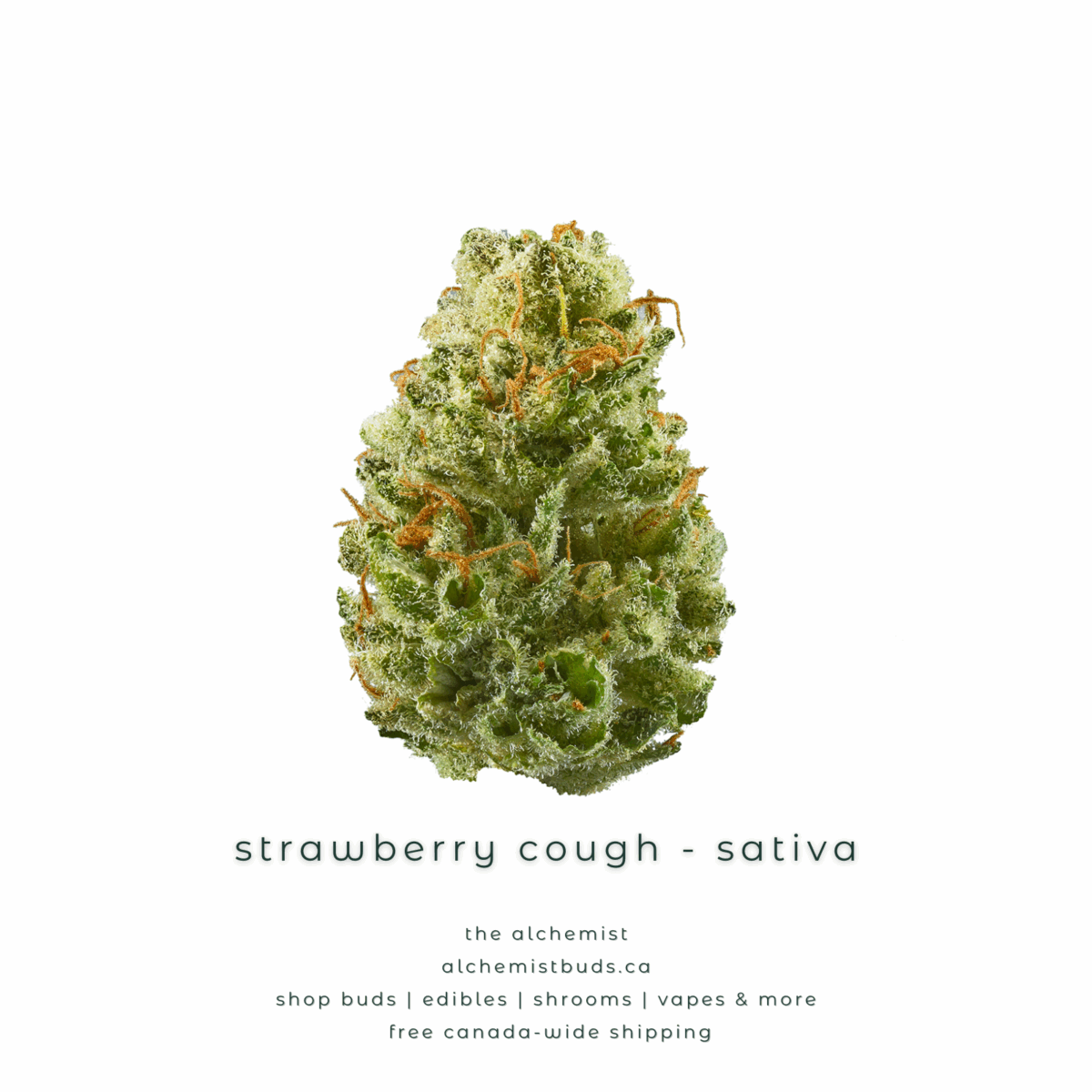 shop alchemistbuds.ca for best price on mystery bag aaaa strains