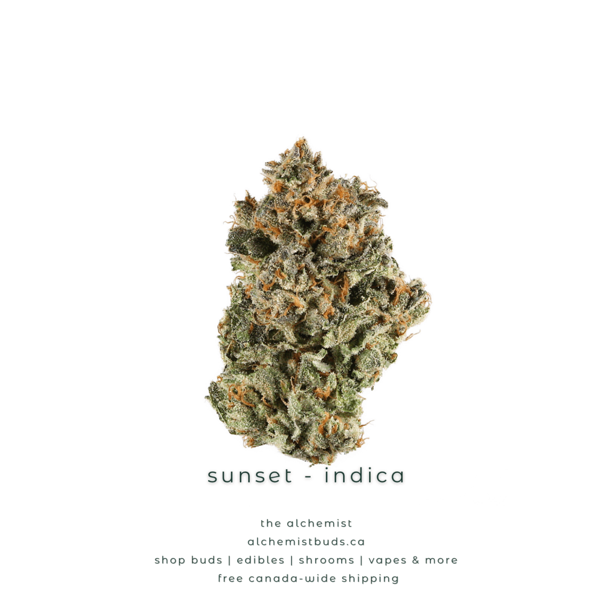 shop alchemistbuds.ca for best price on sunset strain