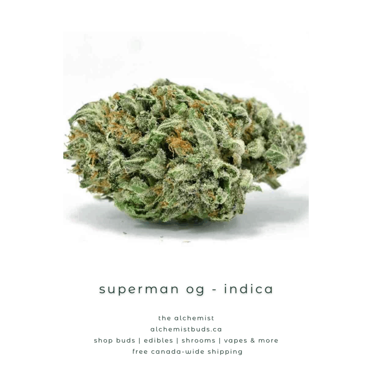 shop alchemistbuds.ca for best price on superman og strain