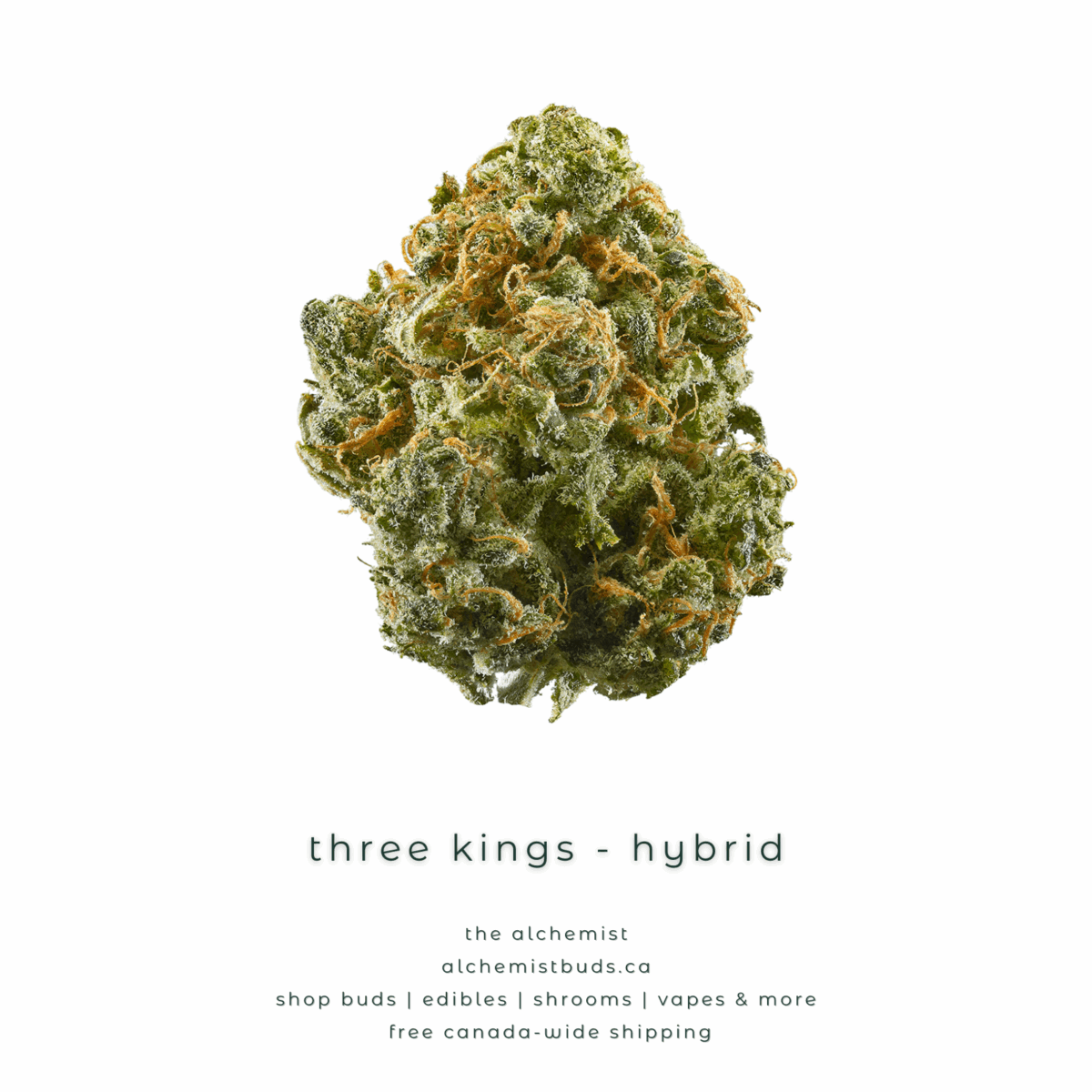 shop alchemistbuds.ca for best price on three kings strain