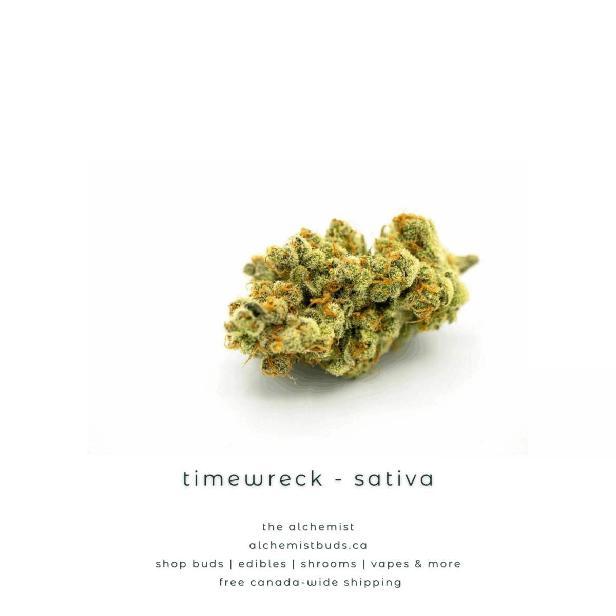 shop alchemistbuds.ca for best price on timewreck strain