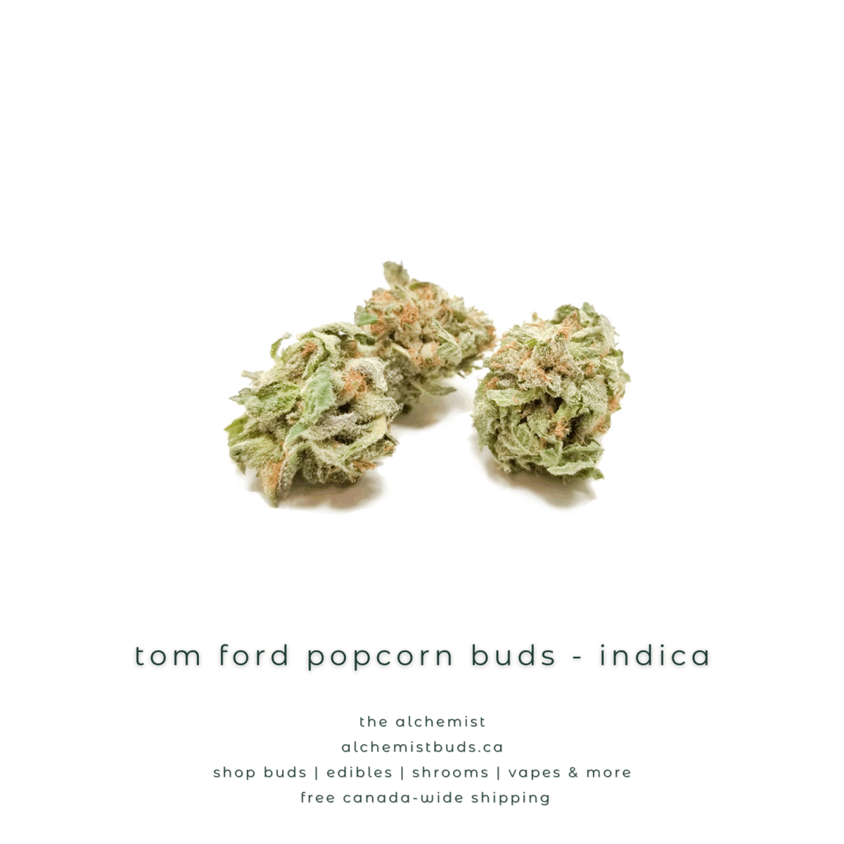 shop alchemistbuds.ca for best price on tom ford popcorn buds strain